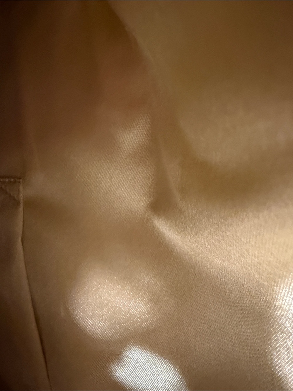 Beaded Lemon Shoulder Bag in Cream and Yellow - Picture 2 of 9